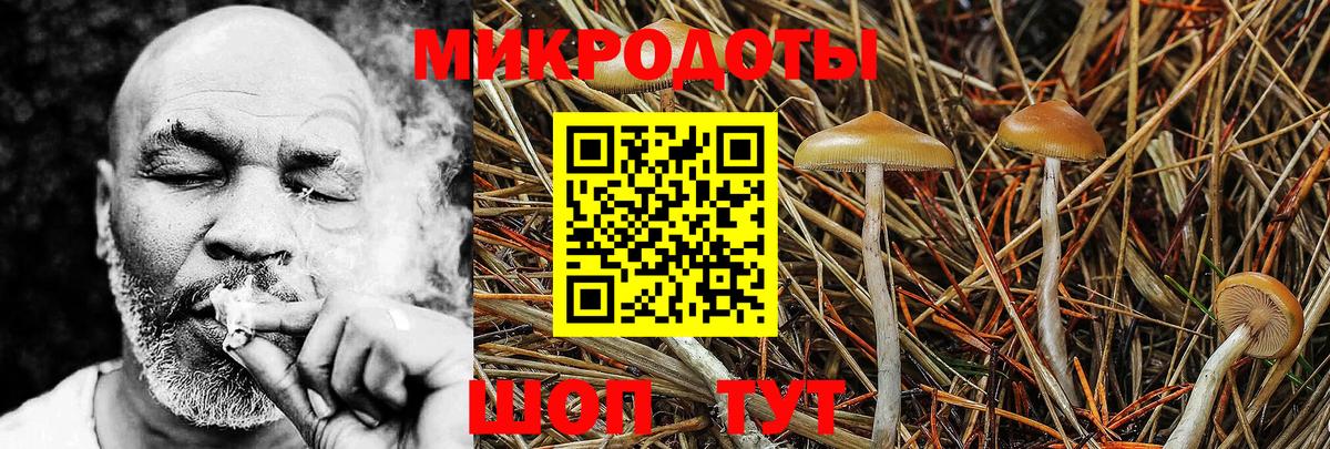 Псилоцибиновые грибы прущие грибы  Вход с VPN  Галлюциногенные грибы Cubensis  Донецк 
