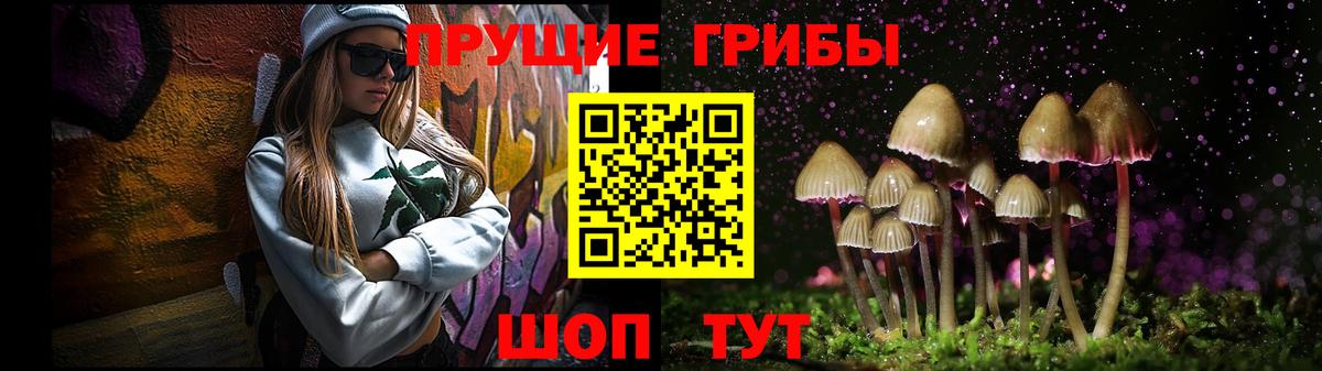 Псилоцибиновые грибы Magic Shrooms Донецк