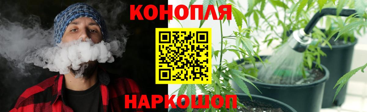 Бошки Шишки White Widow  Вход с VPN  Донецк  Канабис SATIVA & INDICA  Каннабис индика 